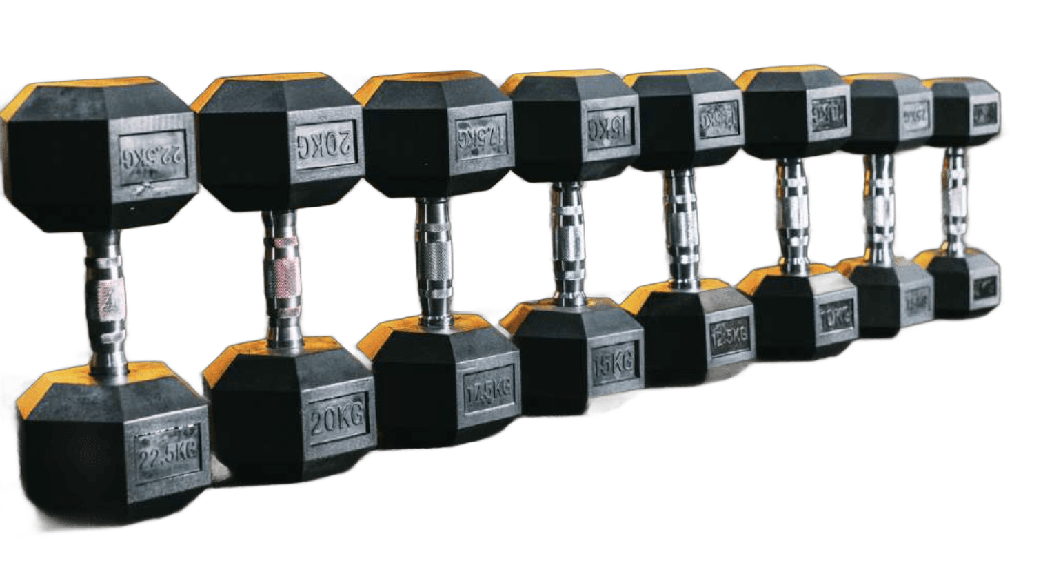 Dumbbell EVO Cromado Vulcanizado 12,5kg