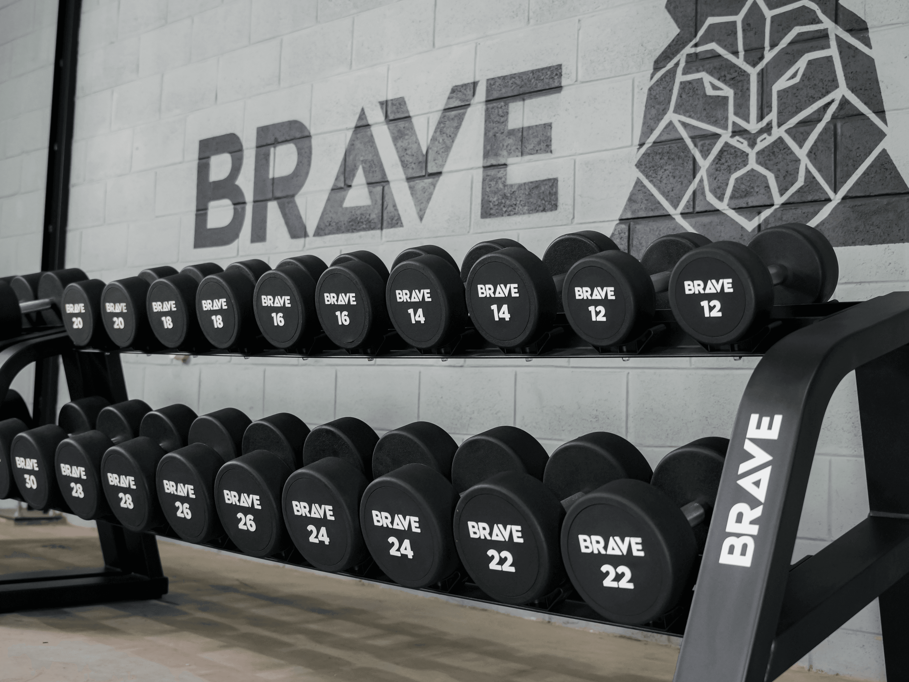 Suporte Estante - 10 pares de Dumbbell Redondo - Square Brave - Miniatura 7