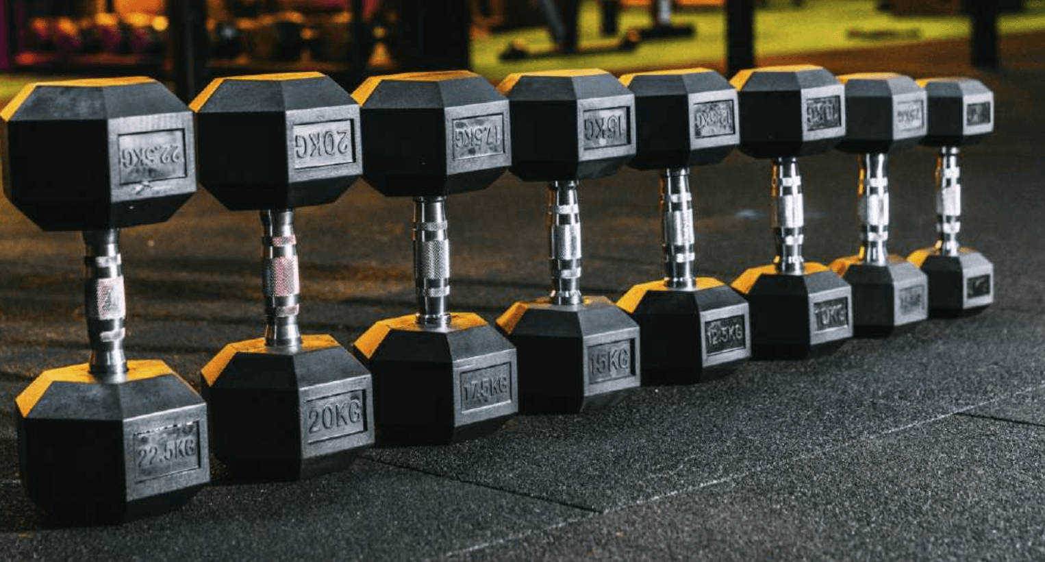 Dumbbell EVO Cromado Vulcanizado 12,5kg - Imagem 2